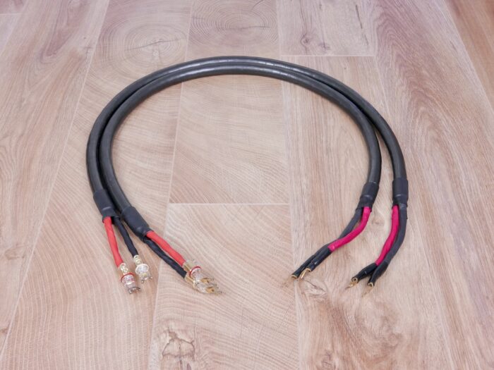 AudioQuest AudioTruth Dragon Hyperlitz full silver highend audio speaker cables 1,2 metre 1
